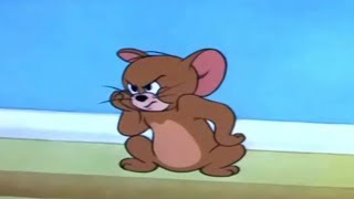 Tom and Jerry - Nit Witty Kitty - [ T & J ]