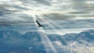 США 2659: Я не развиваюсь! Уважения и ощущения команды среди работников нет.