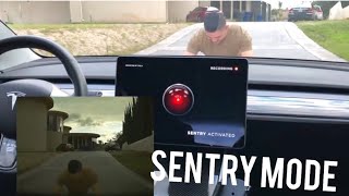 Sentry Mode, Dascham, Dog Mode, and More!!!