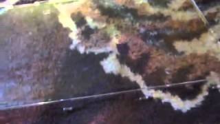 Тюнинг щитка приборов    2 часть тонировка стекла