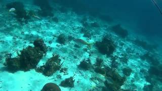 Экшн камера ACTION CAMERA подвожные съемки