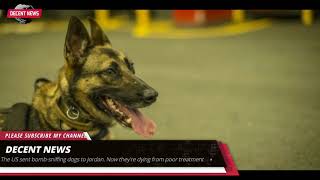 The US sent bomb-sniffing dogs to Jordan. Now they're dying from poor treatment I DECENT NEWS I