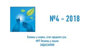 №4-2018. Эндоскопия Полипы у кошек, отит среднего уха. Полипы у кошек