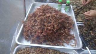 Comiendo insectos en Bangkok Tailandia