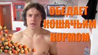 СерёгаTV | Ест кошачий корм