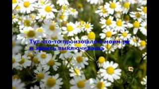 DMC/Shado в рк