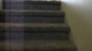 video Shale house001