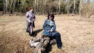 Красноярск. Остров Татышев-место отдыха красноярцев 
.