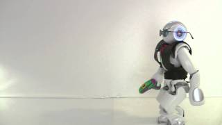 Nao 1337 Audition