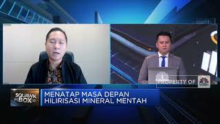 Didominasi PMA, Perbankan RI Tak Tertarik Biayai Hilirisasi Nikel?