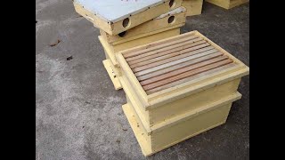Xem Thùng Nuôi Ong Hiện Đại Thông Minh (Chia Đàn Phòng Chống ong Bốc bay Hiệu Quả 100%)