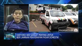 Pengusaha Sawit Harap RI Tak Buru-buru Pindah ke Program B40
