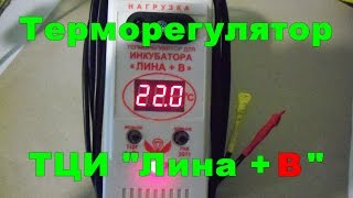 Терморегулятор для инкубатора Лина + В