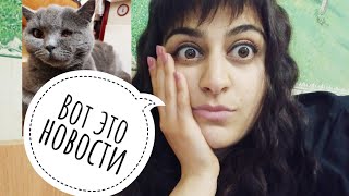 СРОЧНЫЕ НОВОСТИ, Я В ШОКЕ, ОКАЗАЛОСЬ ЧТО КОТ,  ВОВСЕ НЕ КОТ?