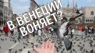 В Венеции воняет? Итальянцы не любят русских? КРАСИВАЯ ИТАЛИЯ!