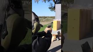 Modern Cheese Vs German Mouser