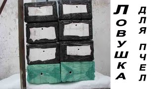 Бюджетная ловушка для пчел. trap for the bees