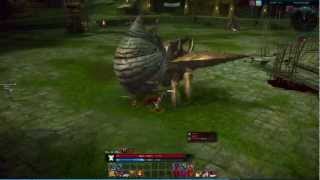 [TERA] Solo - Warrior 31 vs BAM Abraxis 33