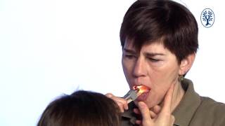 The visual examination of the mouth