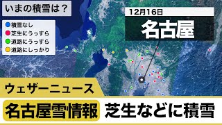 名古屋雪情報　芝生などに薄く積雪