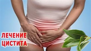 ★Лечение цистита в домашних условиях за 1 день. Ванночки ОТ ЦИСТИТА с лавровым листом.