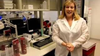 Soap vs. Sanitizer (Global Hand Washing Day Challenge)