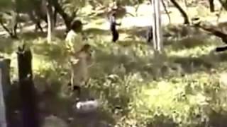 Полицейские и бандиты в Бразилии. Жесткая резня / Police and criminals in Brazil. Violent