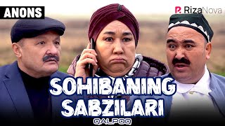 Qalpoq - Sohibaning sabzilari (anons)