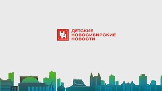 Приюту для животных в Новосибирске не хватает рабочих рук
