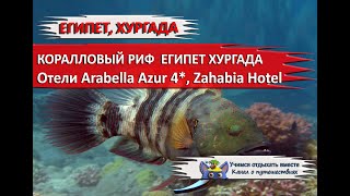 ОТДЫХ ЗИМОЙ| ЕГИПЕТ ХУРГАДА 2020|КОРАЛЛ Arabella Azur, Zahabia Hotel