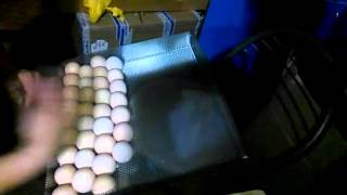 Инкубатор ТГБ как уложить яйца в лоток 85 вместо 70