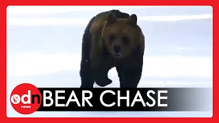 Heart-Stopping Moment Brown Bear CHASES Skier Down Mountain at Romanian Resort