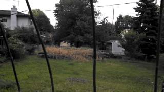 Bamboo green house part two