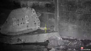Rat Shooting August 2019
