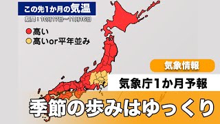 １ヶ月予報　季節の歩みはゆっくり太平洋側で雨多い予想