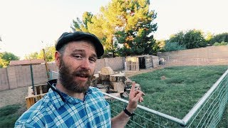Micro Farming the (Arizona) Suburbs