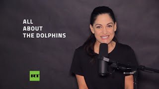 Scientists discover dolphins have giant clitorises