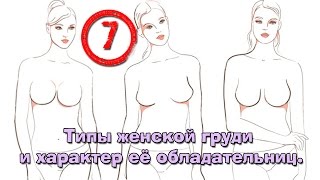 Женская грудь.  Типы и характер её обладательниц