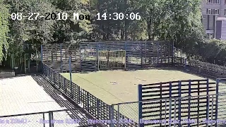 zsmu live cam