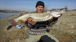 Ловля мартовской щуки на мелководье.Весна 2019г.