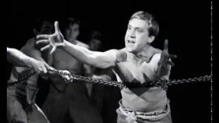 Почему эти птицы на север летят Виолетта Баша Сергей Морозов