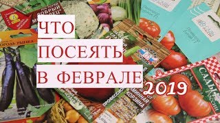 Что ПОСЕЯТЬ в ФЕВРАЛЕ? Почему ВАЖНО СОБЛЮДАТЬ сроки?