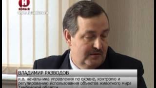 За нарушение правил охоты браконьерам грозит крупный штраф /НВ - Тамбов/