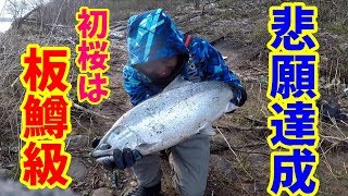 【レア映像】サクラマスのHITからランディングまで！初めてのサクラマス