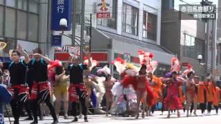 赤羽馬鹿祭り（2012年 北区）