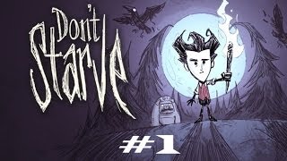 Uzun Metraj Denemesi Don't Starve  #1