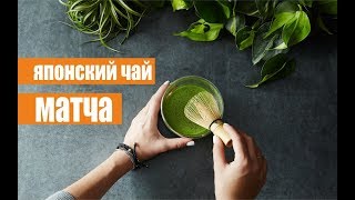 Матча – польза и вред японского чая