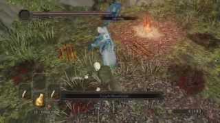 Dark Souls 2 - Legolas Cosplay