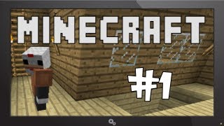 Minecraft #1 - Ny server, ny serie med SweDuck