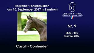 Nr. 9 v. Casall - Contender